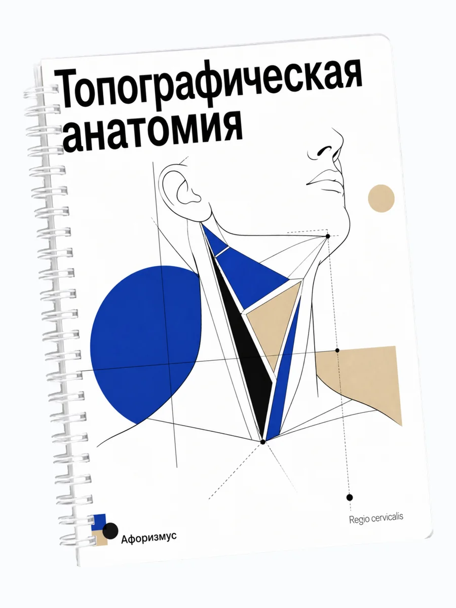 Ежедневник недатированный Топографическая анатомия